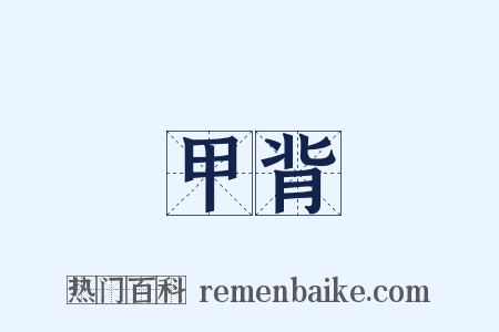 甲背是什么意思的图片